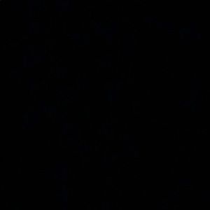 Meet your Posher, Ethan